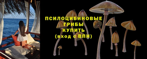амф Арсеньев