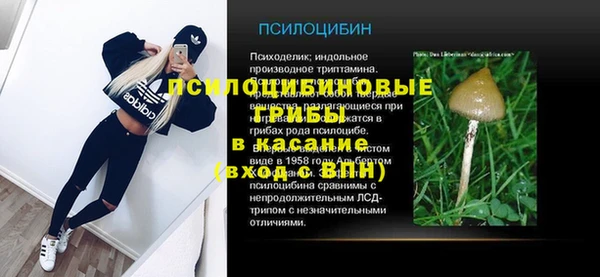 гидра Армянск